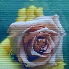 Not Enough (prod. Loopy!)