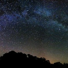 Stardust
