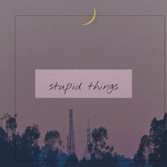 stupid things