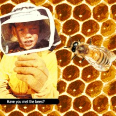 Have you met the bees?