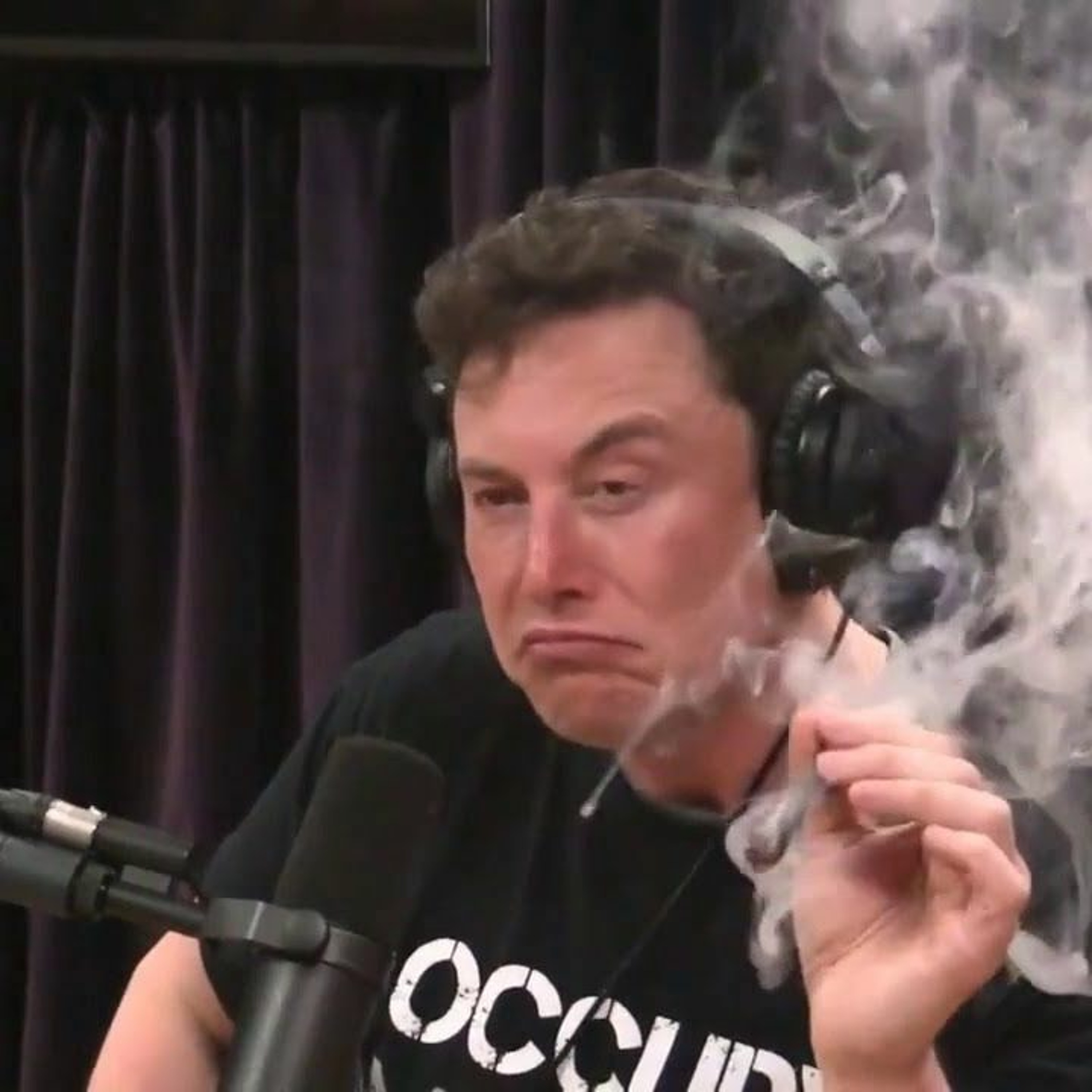 Suicide Fun (shurkin)