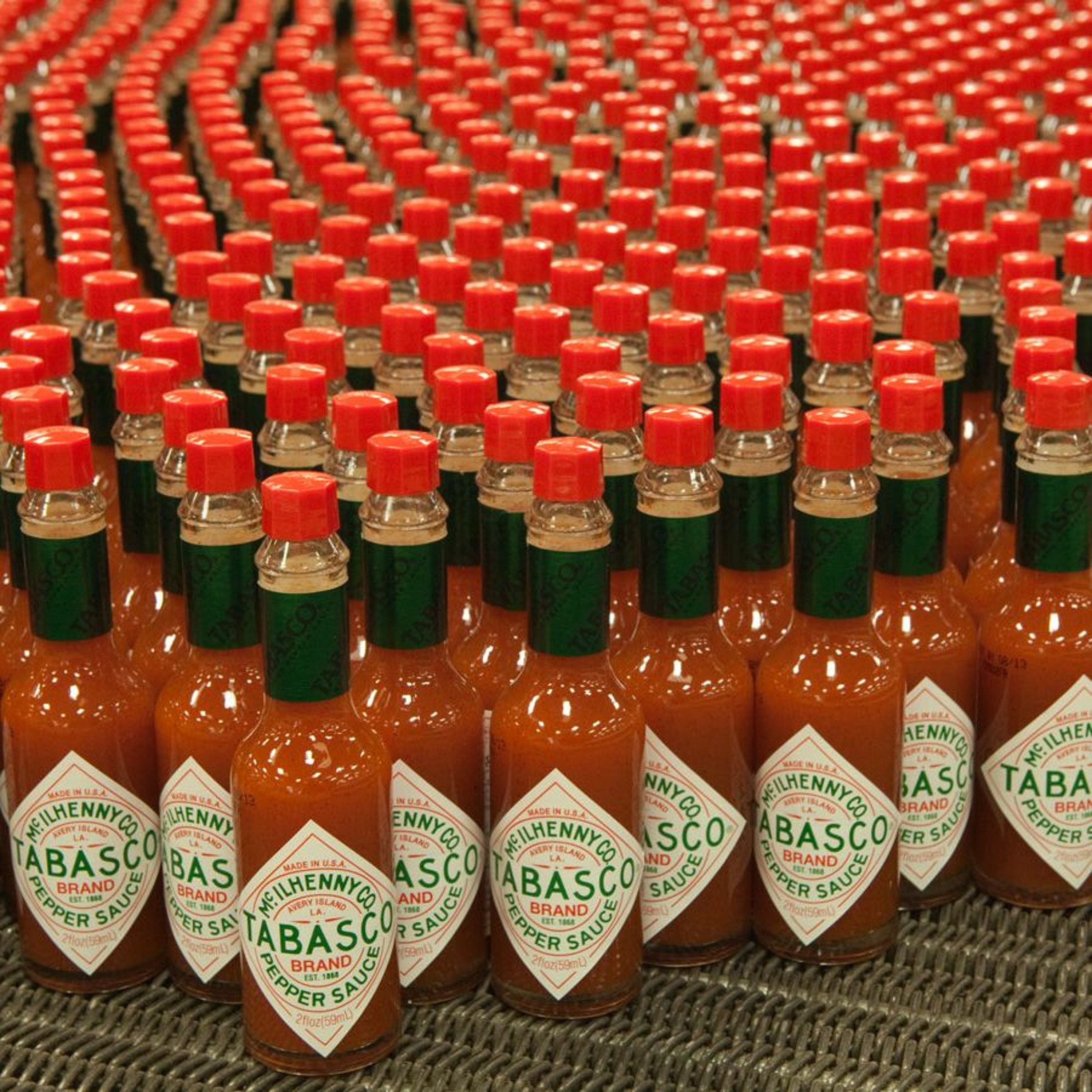 Suicide Fun (shurkin)