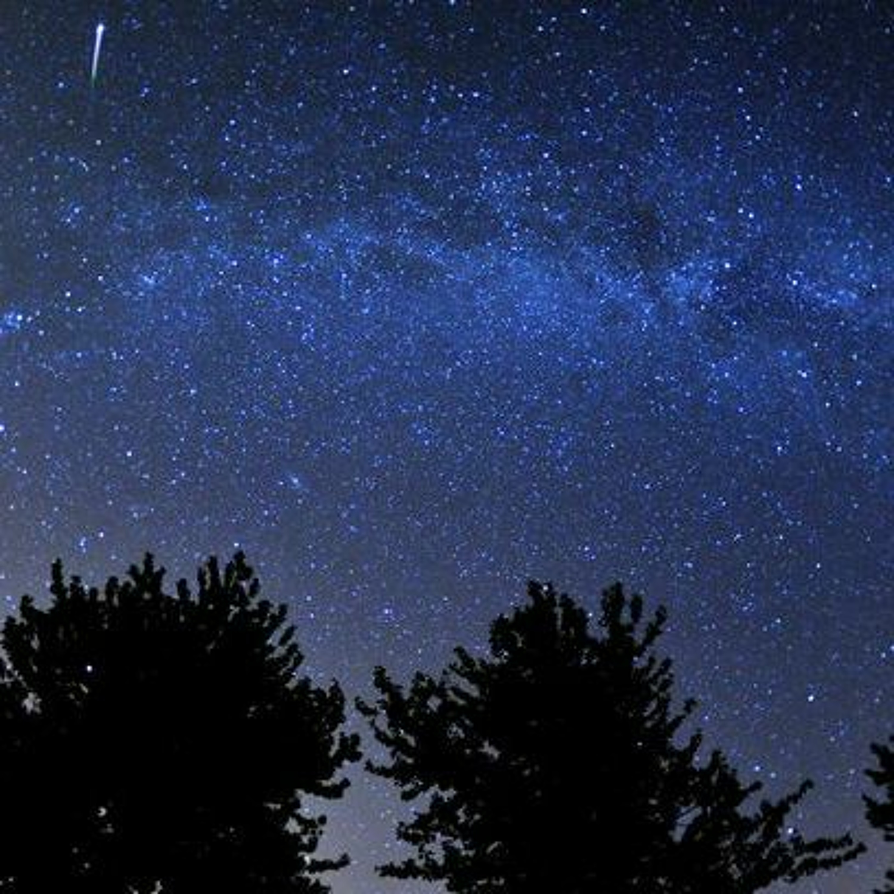 Suicide Fun (shurkin)