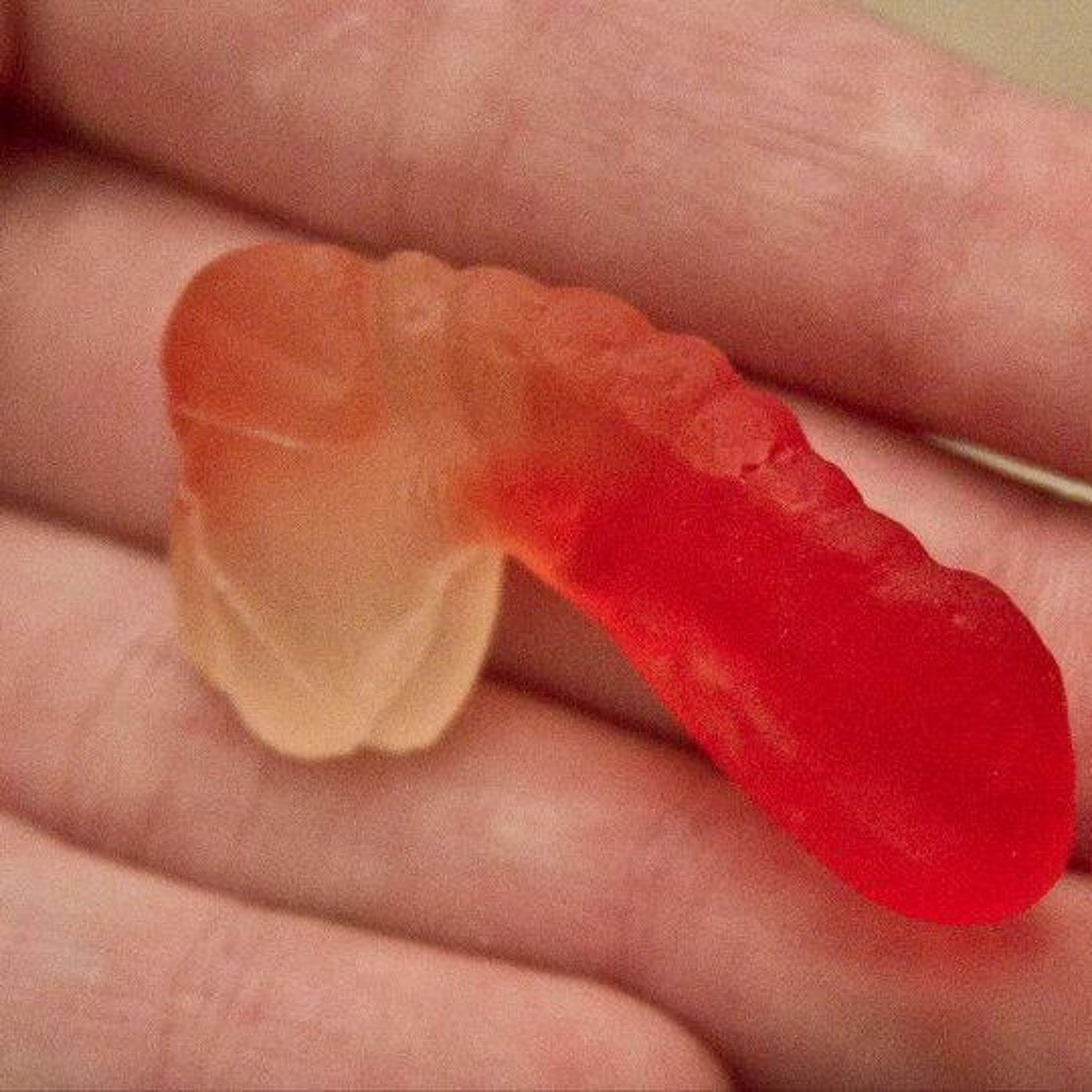 Suicide Fun (shurkin)