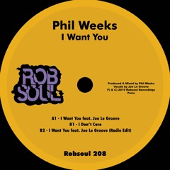 Phil Weeks Feat. Joe Le Groove - I Want You