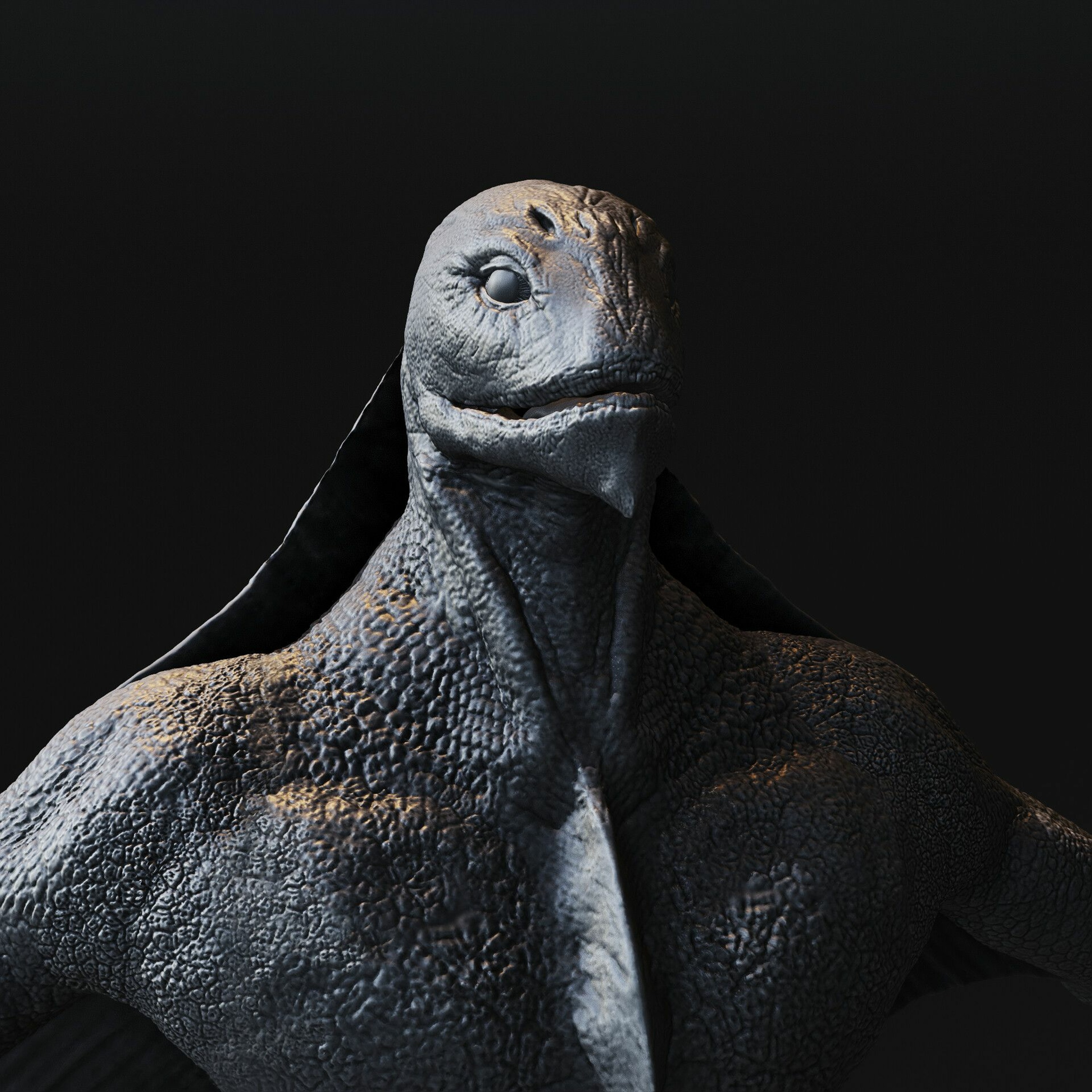 Suicide Fun (shurkin)