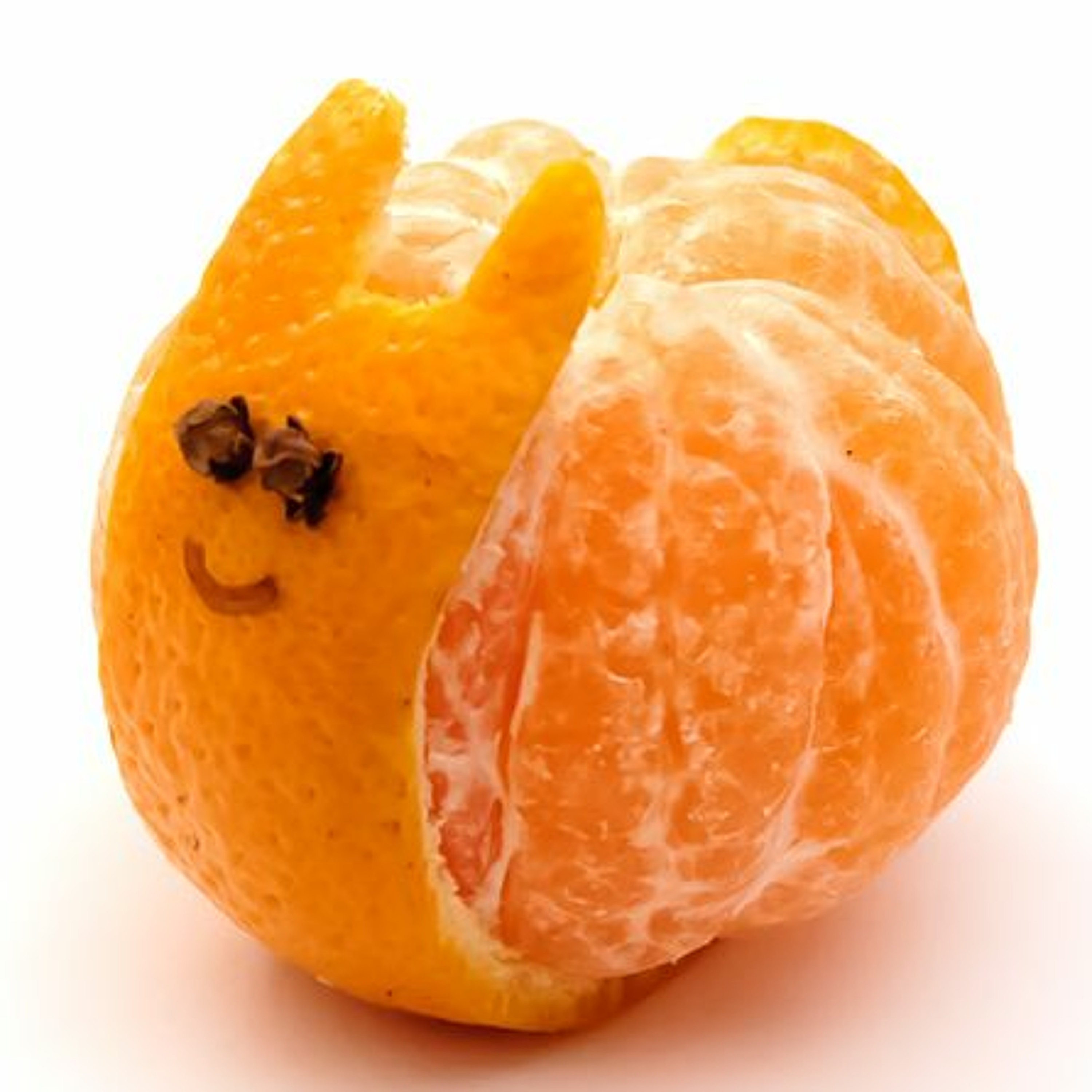 Suicide Fun (shurkin)