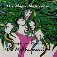 The Magic Mashroom