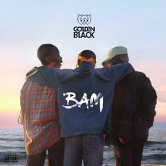 Golden Black-System