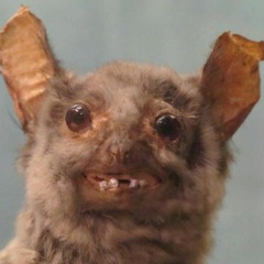 T.O.N.Y - Sueit X Jhair