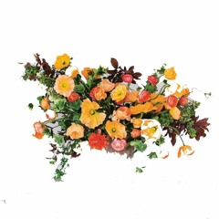 SHORELINE MAFIA TYPE BEAT | YOUNG MELON