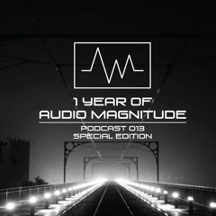 Audio Magnitude Podcast Series #13 Special Edition 1 Year