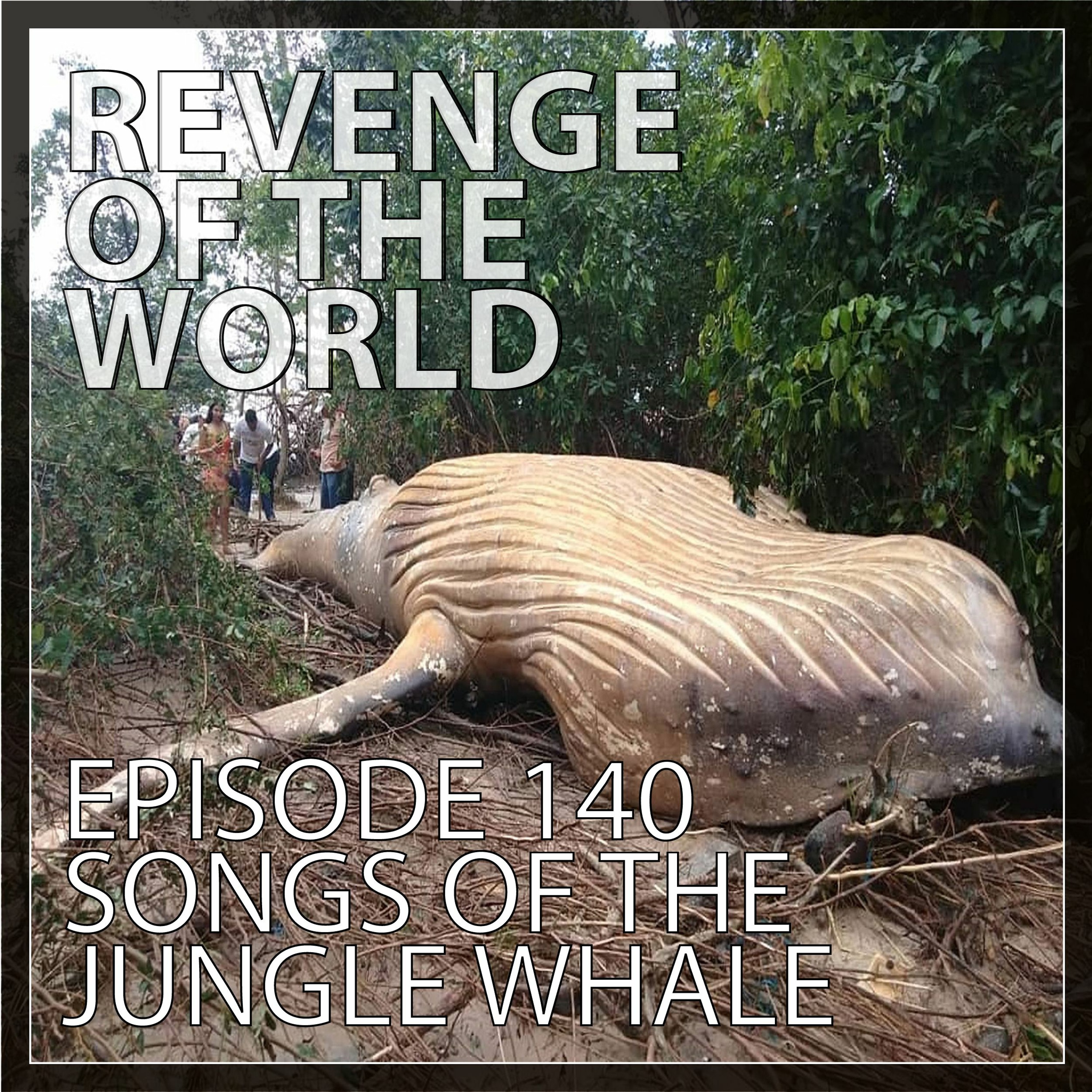 EPISODE 140 - SONGS OF THE JUNGLE WHALE episode artwork