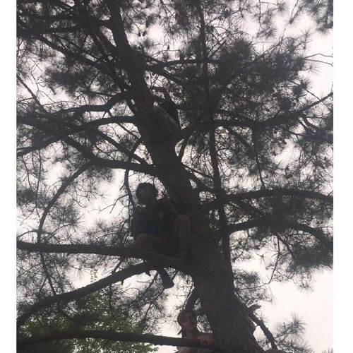 MellowHendrix - Daydreamin' (prod. Sarcastic Sounds)