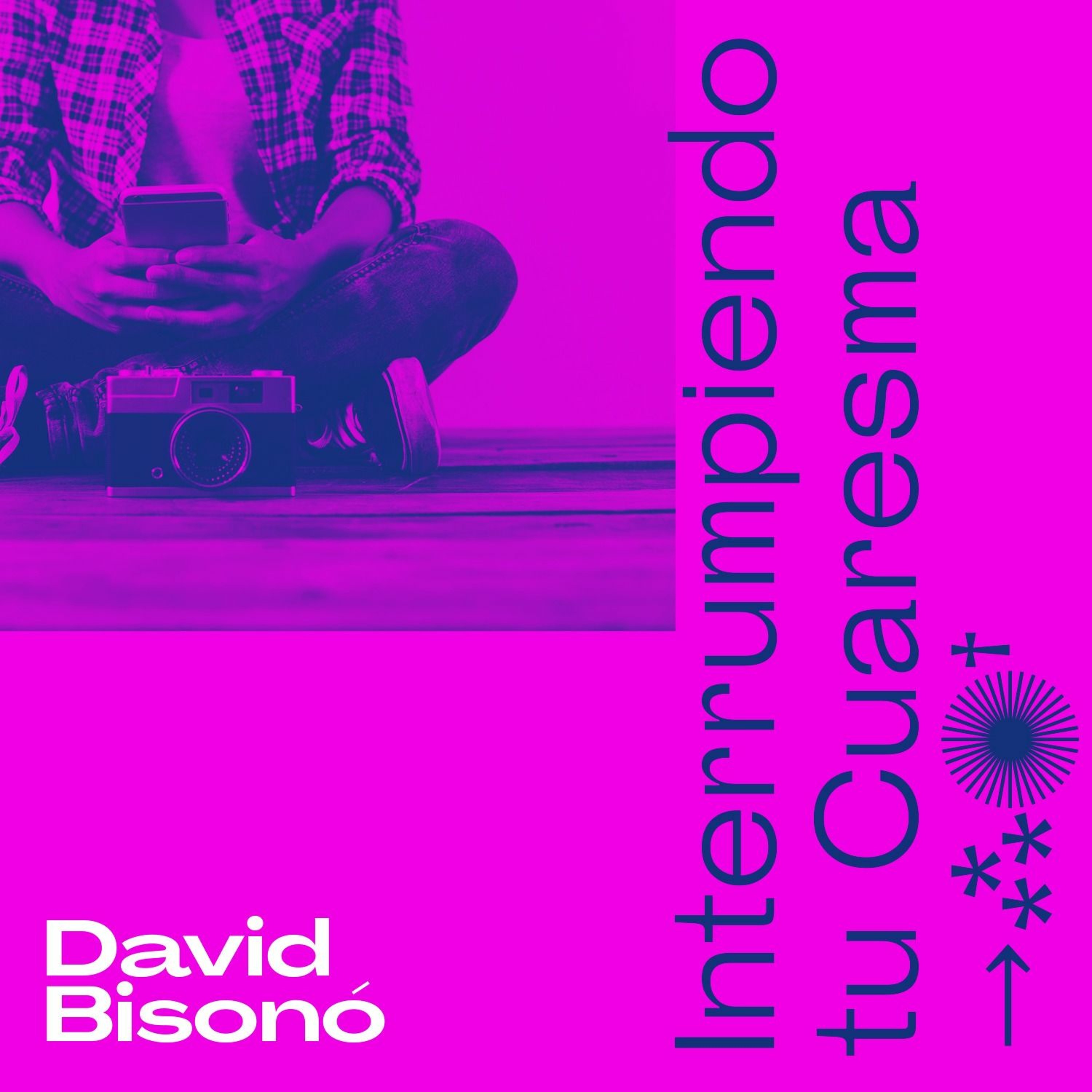 Inténtalo con Bisonó