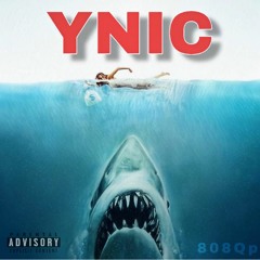 808QP - YNIC
