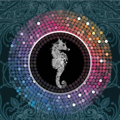 Nomadico Festival 2016 Live (10/9/16)