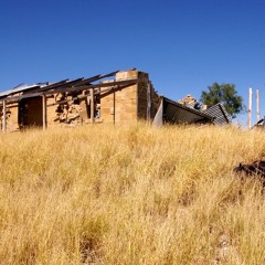 The Diamantina Drover