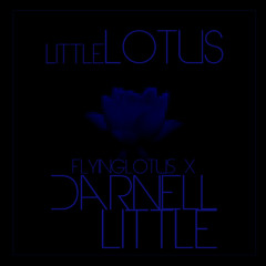 Darnell Little - WindowLicker 13' (Ft. Aphex Twin)