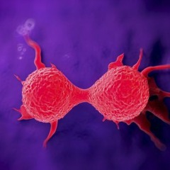 "Cancerously Simple"