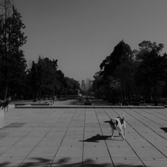 Radio Show ESR 004 (New Oldies and Soul)