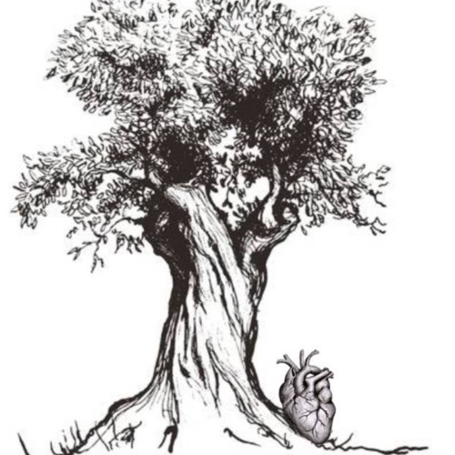 under the olive tree