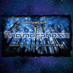 Ana²morphosis for ANA 2 Sound Demo