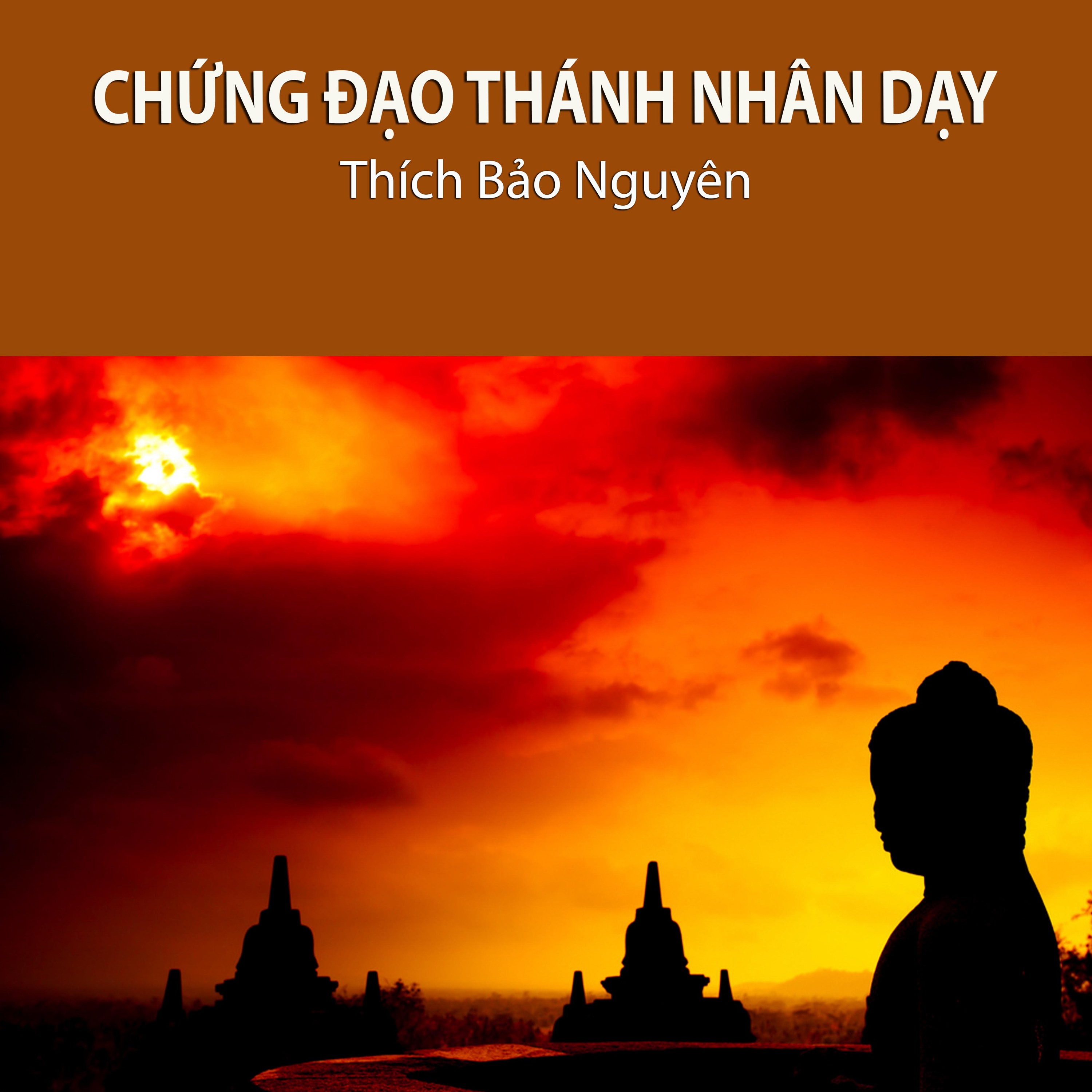 Chứng Đạo Thánh Nhân Dạy episode artwork