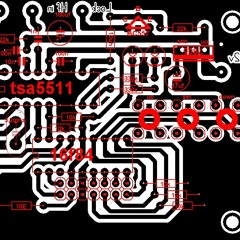 WANITAROAN AAS ROLANI.MP3