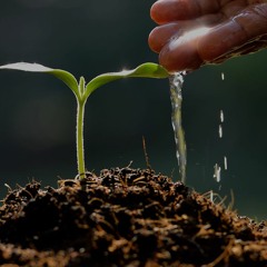 For Environmental Assessment Services Contact to Experienced Professionals