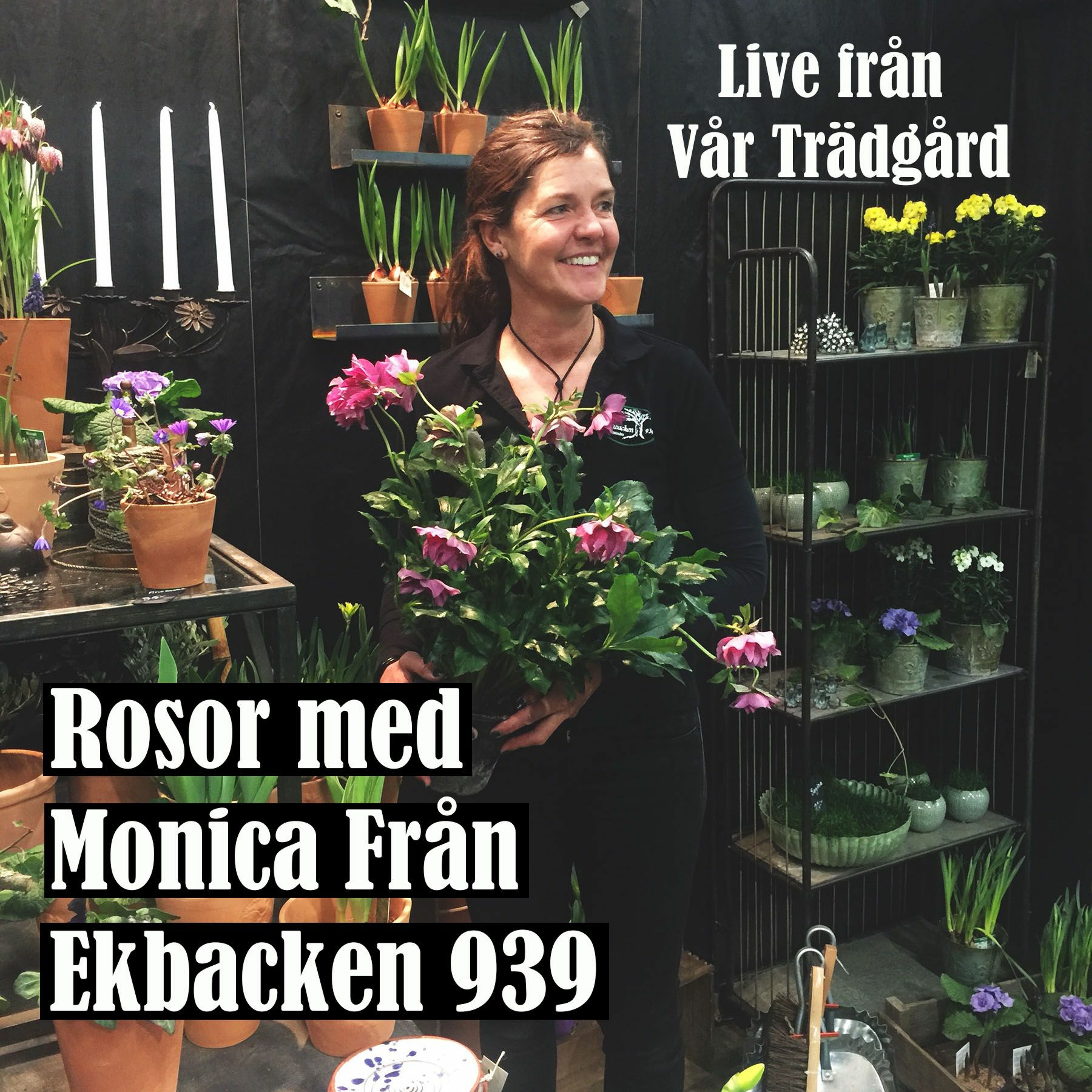 Trädgårdsarkitekterna