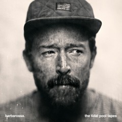 Barbarossa - Broken Beauty - tidal pool version