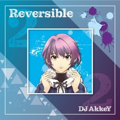 DJ AkkeY 2nd ALBUM「Reversible」 Xfd