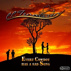 Every Cowboy has a sad Song