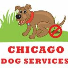 Affordable Dog, Pet Waste Removal Cleanup Service in Lombard IL.