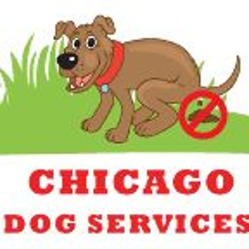 Animal Waste Removal Near Me / Yard Pro Pet Waste Removal