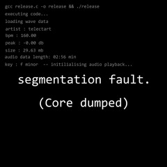 segmentation fault (core dumped)