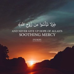 وَرَاوَدَتْهُ الَّتِي هُوَ فِي بَيْتِهَا .. أروع تلاوات  القارئ ابراهيم الحق