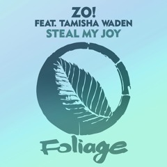 Zo! feat. Tamisha Waden – Steal My Joy (Opolopo Remix)