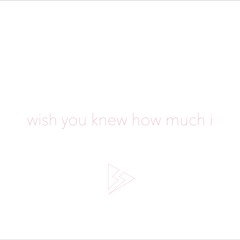 wish you knew how much i