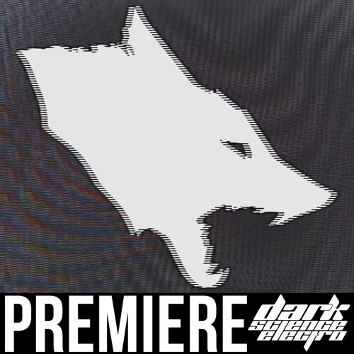 PREMIERE: Aquatronics - Frequency (Dionysian Mysteries)