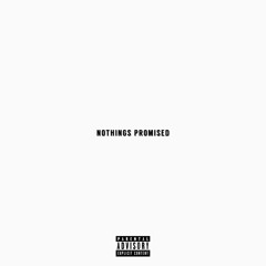 TNLDOT &  MTMLIL - NOTHIN'S PROMISED