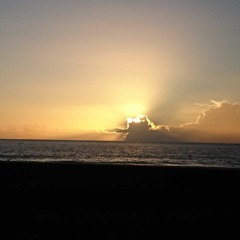 A Million Dreams - Pink Cover