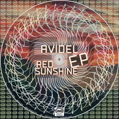 Avidel - Several Hours (Original Mix) Preview