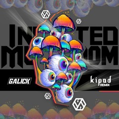 Infected Mushroom - Kipod (Galick Remix)[FREE DOWNLOAD]