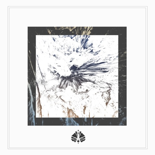 Insight LP (Out Now!)