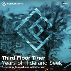 Third Floor Tiger - Years Of Hide And Seek (Sumsuch Remix)