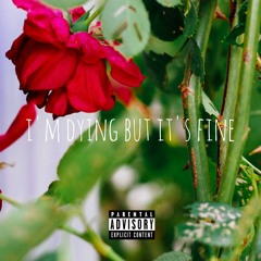 i'm dying, but its fine