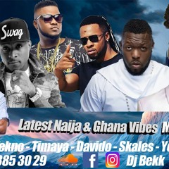 Latest Naija & Ghana Vibes March 2019 [ Official Mix ] Dj Bekk,Timaya, Davido, Skales, Yemi Alade
