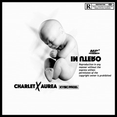 In utero (instrumentale)